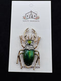 Green Beetle Jeweled